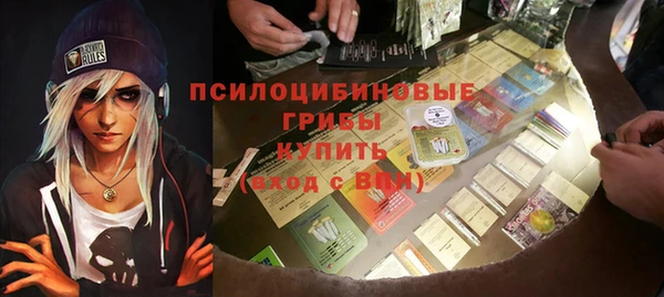 PSILOCYBIN Абинск
