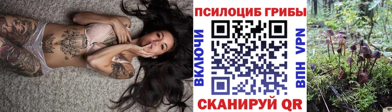 Псилоцибиновые грибы Psilocybe  Нефтегорск 